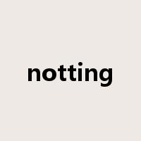 notting是什么意思