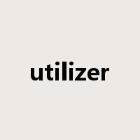 utilizer是什么意思