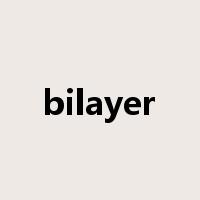 bilayer是什么意思