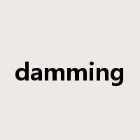 damming是什么意思