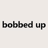 bobbed up是什么意思