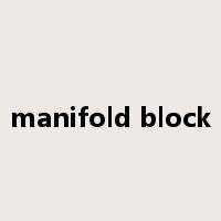 manifold block是什么意思