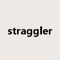 straggler是什么意思
