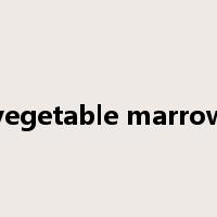 vegetable marrow是什么意思