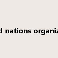 united nations organization是什么意思