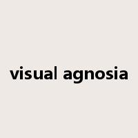 visual agnosia是什么意思