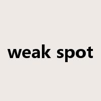 weak spot是什么意思