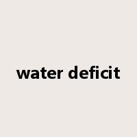 water deficit是什么意思