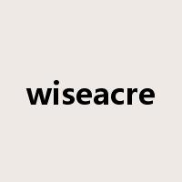 wiseacre是什么意思