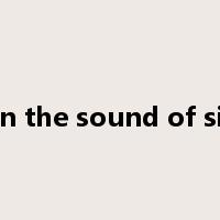Within the sound of silence是什么意思