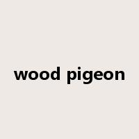 wood pigeon是什么意思