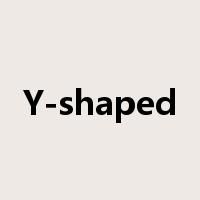 Y-shaped是什么意思
