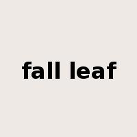 fall leaf是什么意思