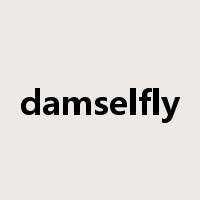 damselfly是什么意思