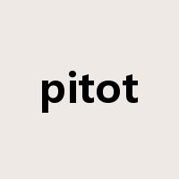 pitot是什么意思