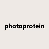 photoprotein是什么意思