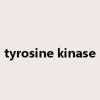 tyrosine kinase是什么意思