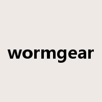wormgear是什么意思