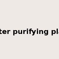 water purifying plant是什么意思