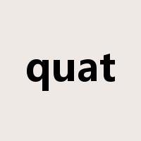 quat是什么意思