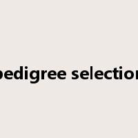 pedigree selection是什么意思