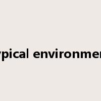typical environment是什么意思