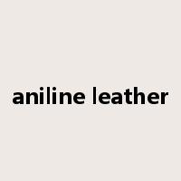 aniline leather是什么意思