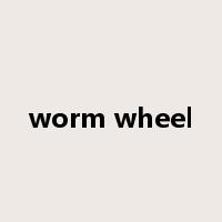 worm wheel是什么意思
