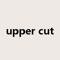 upper cut是什么意思