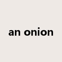 an onion是什么意思