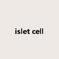 islet cell是什么意思