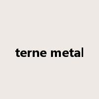 terne metal是什么意思