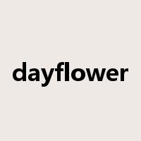dayflower是什么意思