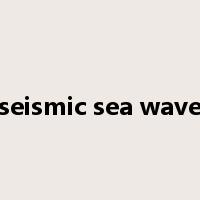 seismic sea wave是什么意思