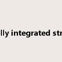 vertically integrated structure是什么意思