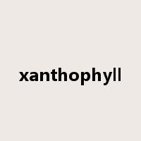 xanthophyll是什么意思