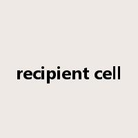 recipient cell是什么意思