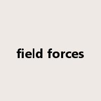 field forces是什么意思