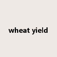 wheat yield是什么意思