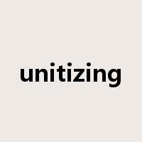 unitizing是什么意思
