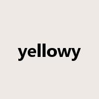 yellowy是什么意思