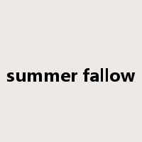 summer fallow是什么意思