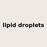 lipid droplets是什么意思
