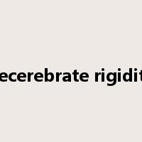 decerebrate rigidity是什么意思