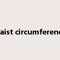 waist circumference是什么意思