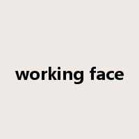 working face是什么意思