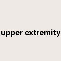 upper extremity是什么意思