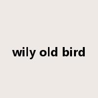 wily old bird是什么意思