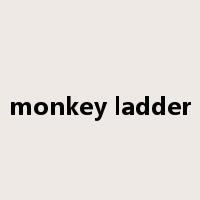 monkey ladder是什么意思