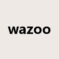 wazoo是什么意思